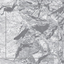 Ricardo Donoso - Deterrence - Vinyl LP