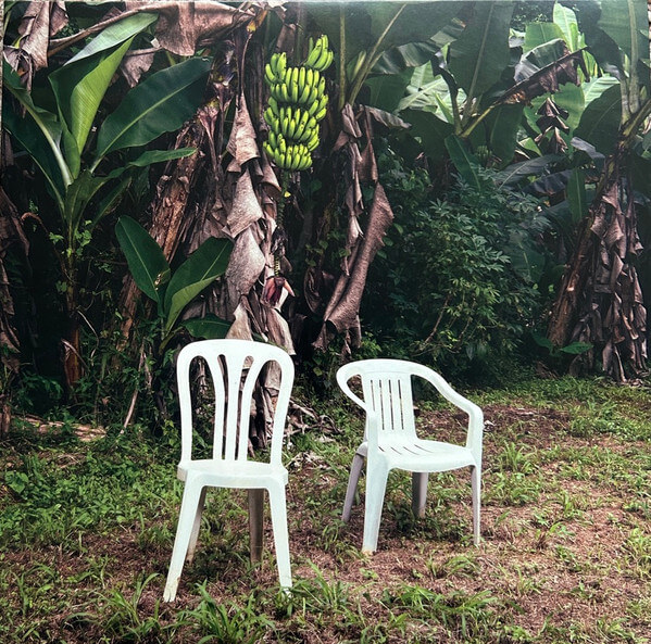 Bad Bunny ‎– Debí Tirar Más Fotos - 2 Vinyl LP