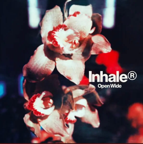 Inhaler - Open Wide - Vinyl LP