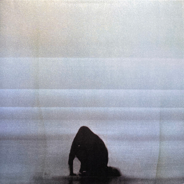 Foals - What Went Down - Vinyl LP