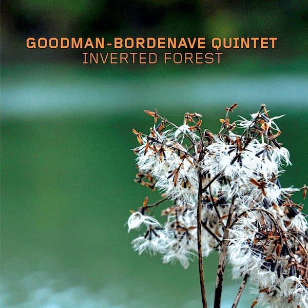 Goodman-bordenave Quintet - Inverted Forest - CD