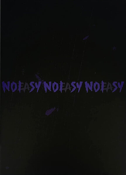 Stray Kids - Noeasy - CD
