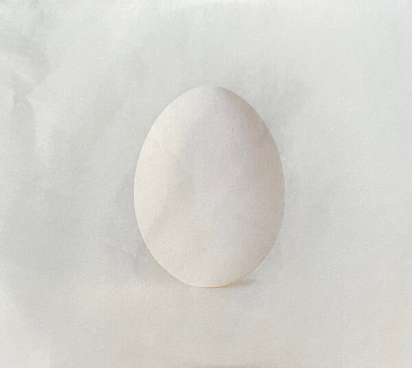 Wilco - A Ghost Is Born - CD