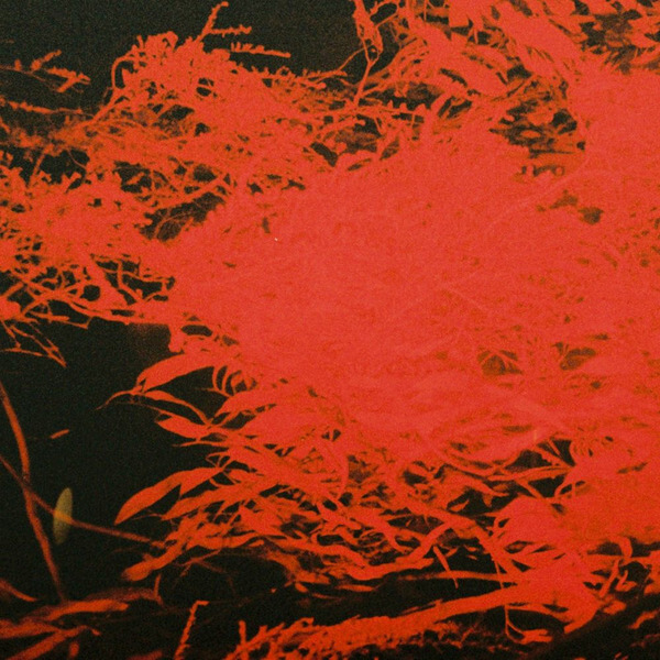 Anthony Naples - In Studio Magic - LP