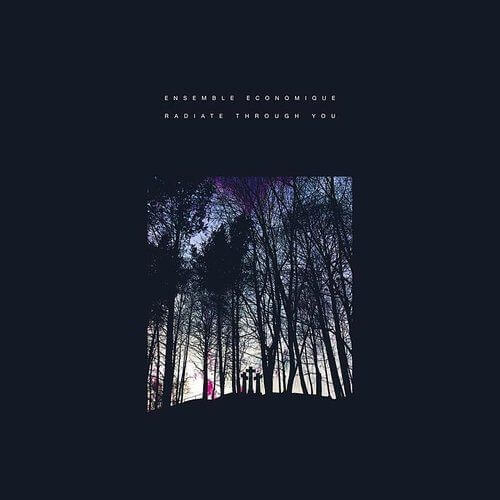 Ensemble Economique - Radiate Through You - Vinyl LP