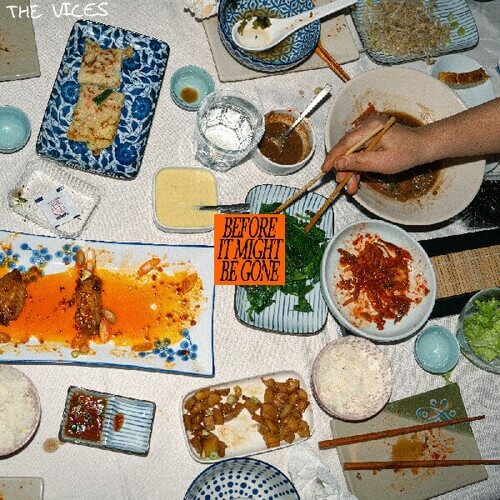 Vices - Before It Might Be Gone - CD