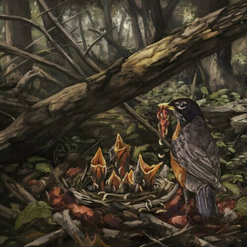Acacia Strain - Step Into the Light - Vinyl LP