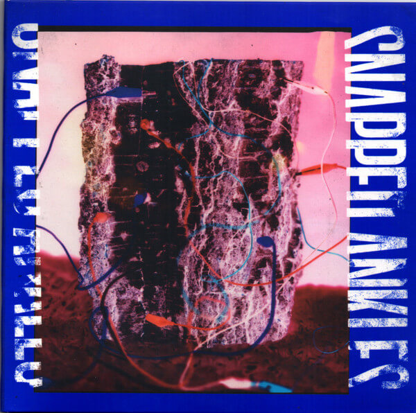 Snapped Ankles - Forest Of Your Problems - CD
