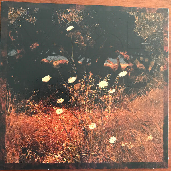 Szun Waves - Earth Patterns - CD