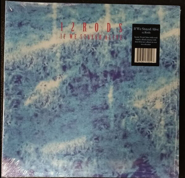 12 Rods - If We Stayed Alive - Vinyl LP