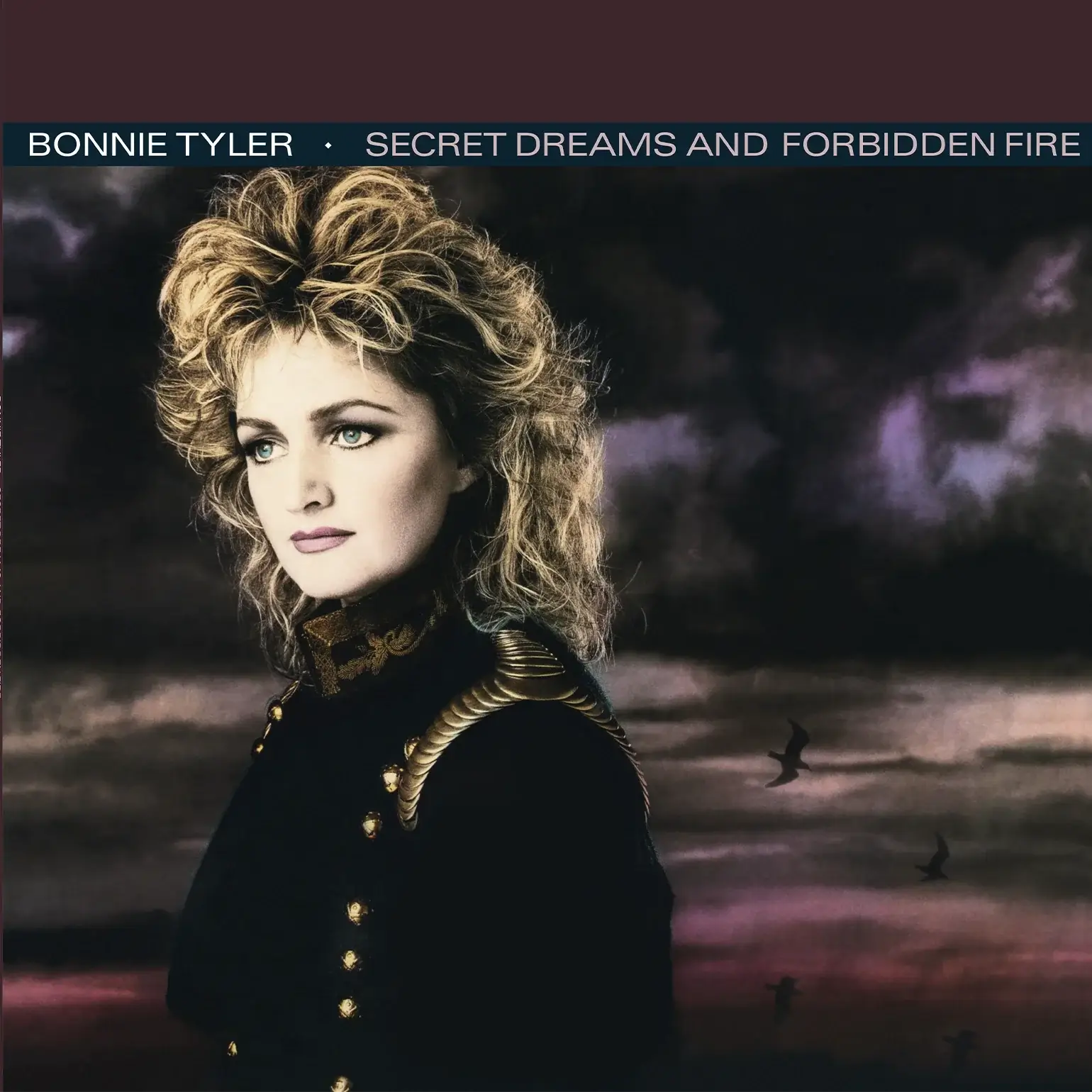 Bonnie Tyler - Secret Dreams And Forbidden Fire - Vinyl LP