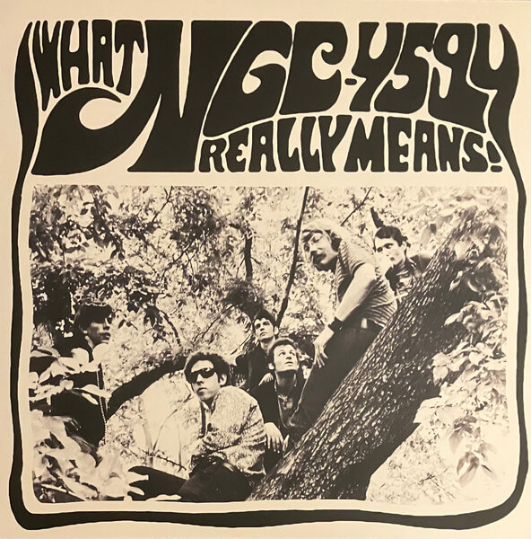 Ngc-4594 - What Ngc-4594 Really Means! - Vinyl LP